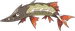 Barraskewda