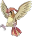 Pidgeotto