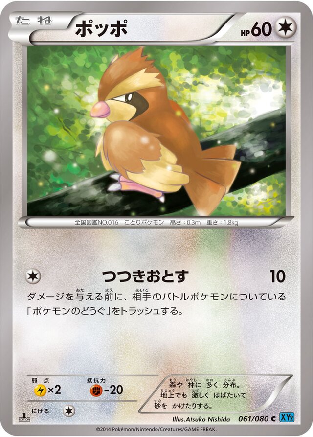 061/080 Pidgeyポッポ C