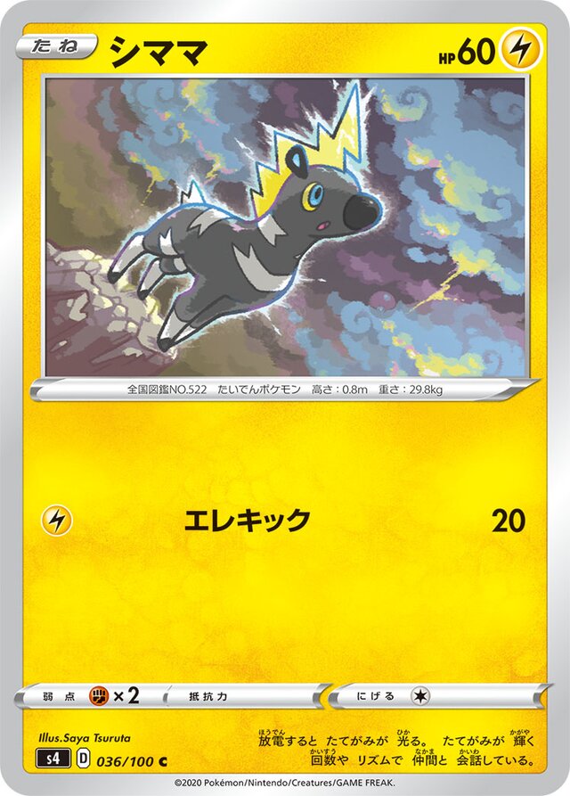 036/100 Blitzleシママ C