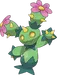 Maractus