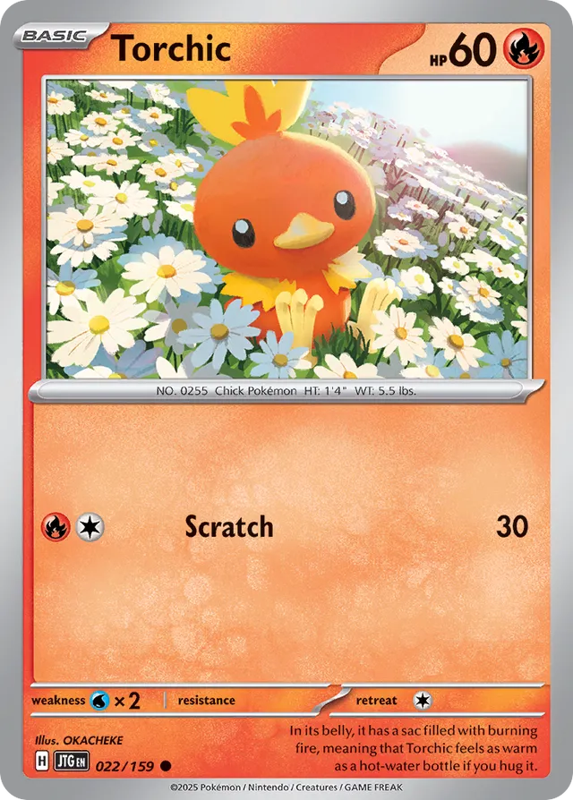 Torchic Journey Together 022/159 Common