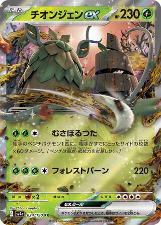 2024特集 Elkegaming's Search Pokémon Collector TCG – TCG) (Japanese cards その他