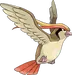 Pidgeot