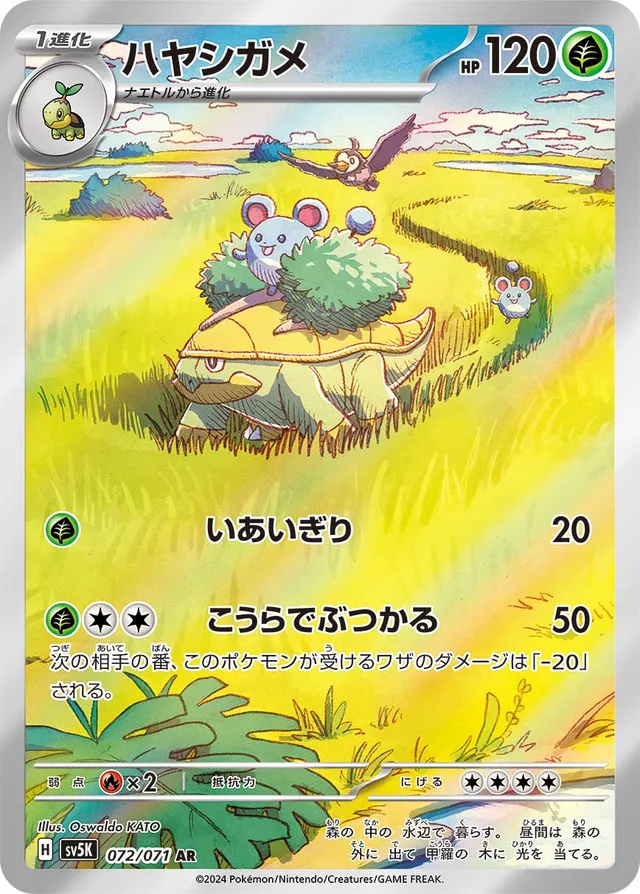 Grotleハヤシガメ 9 Wild Forceワイルドフォース 072/071 AR