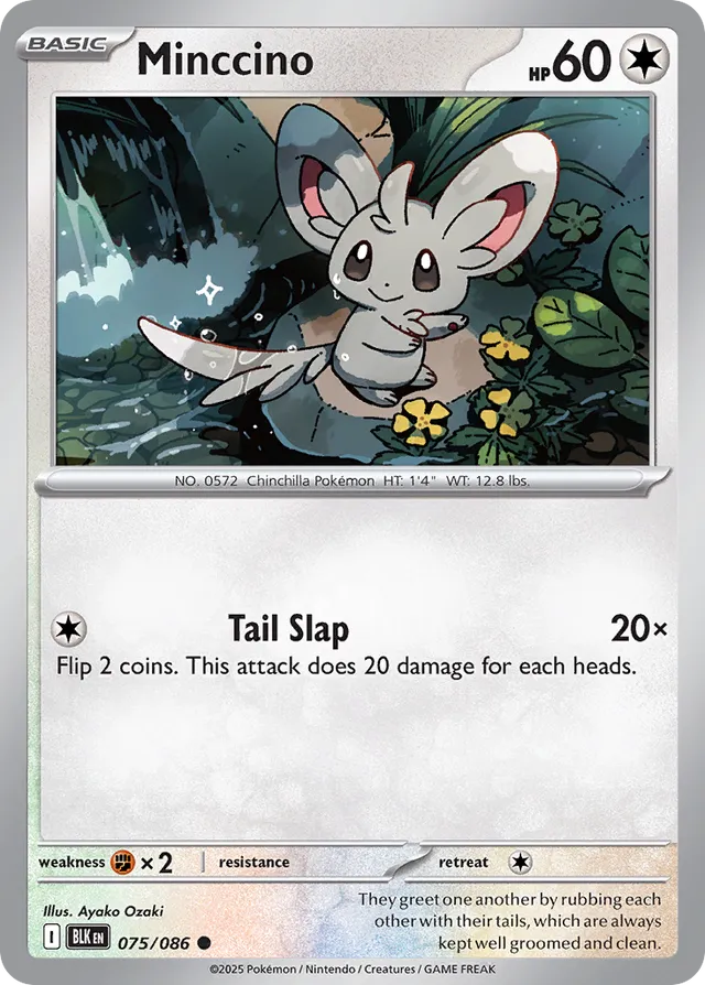 Minccino Black Bolt 075/086 Common
