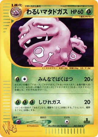 Dark Weezing (Pokémon Web 021/048)