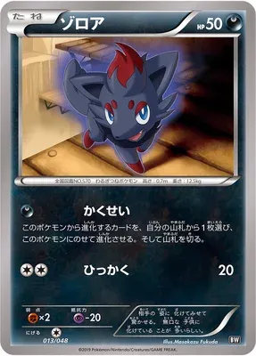 Zorua (Extra Regulation Box 013/048)