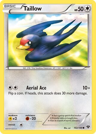 Taillow (XY 102/146)
