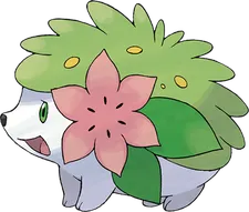 Shaymin cards (International TCG) – TCG Collector