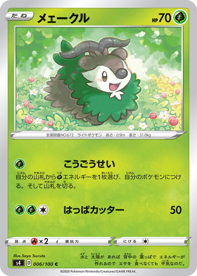 006/100 Skiddoメェークル C