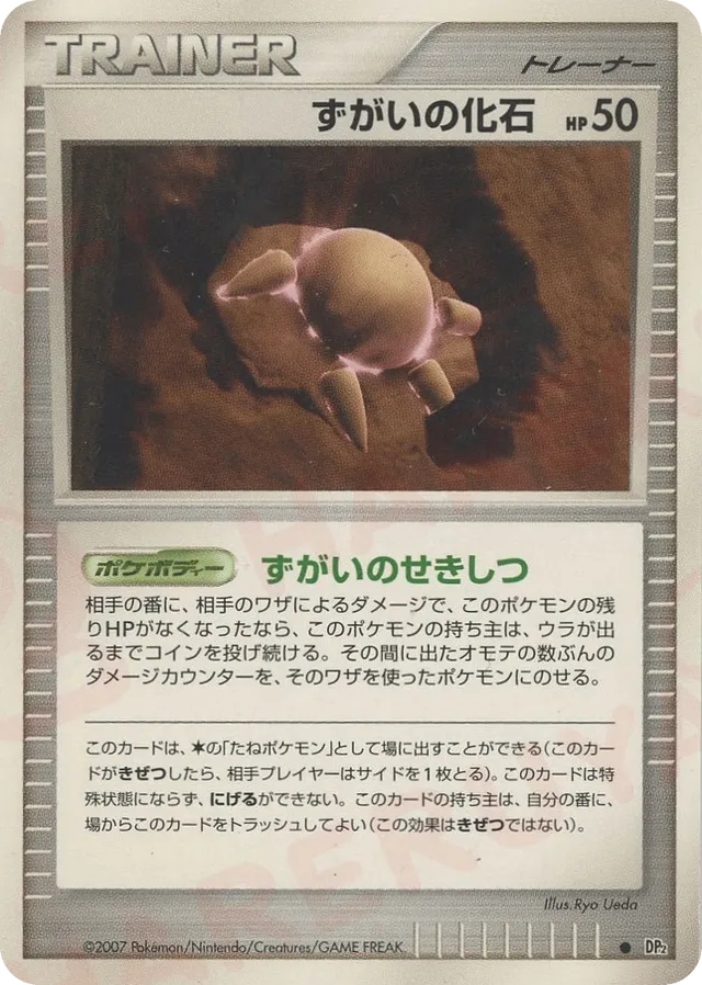 — Skull Fossilずがいの化石 Common