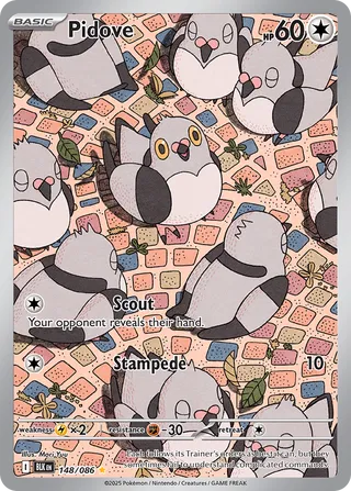 Pidove (Black Bolt 148/086) (International TCG) – TCG Collector