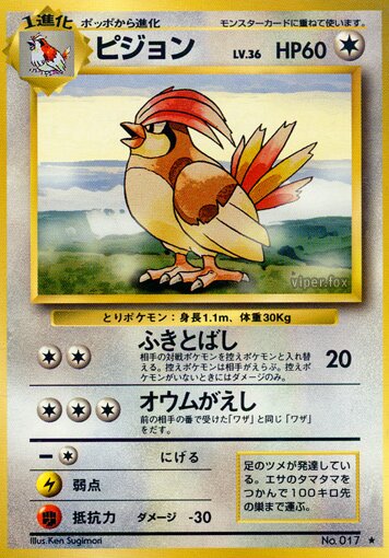 Pidgeottoピジョン Expansion Pack 拡張パック