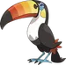 Toucannon