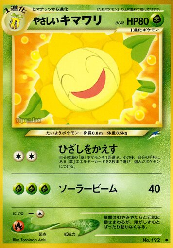 Light Sunfloraやさしいキマワリ Darkness, and to Light闇,そして光へ