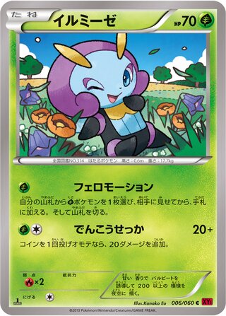 Illumise (Collection Y 006/060)