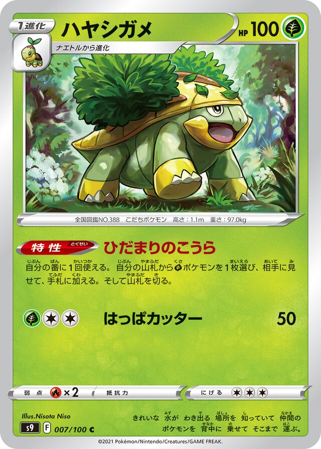 007/100 Grotleハヤシガメ C