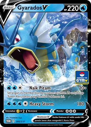 Gyarados V (Sword & Shield Promos 205/S-P)