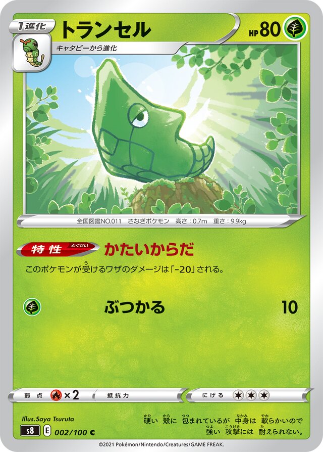 002/100 Metapodトランセル C