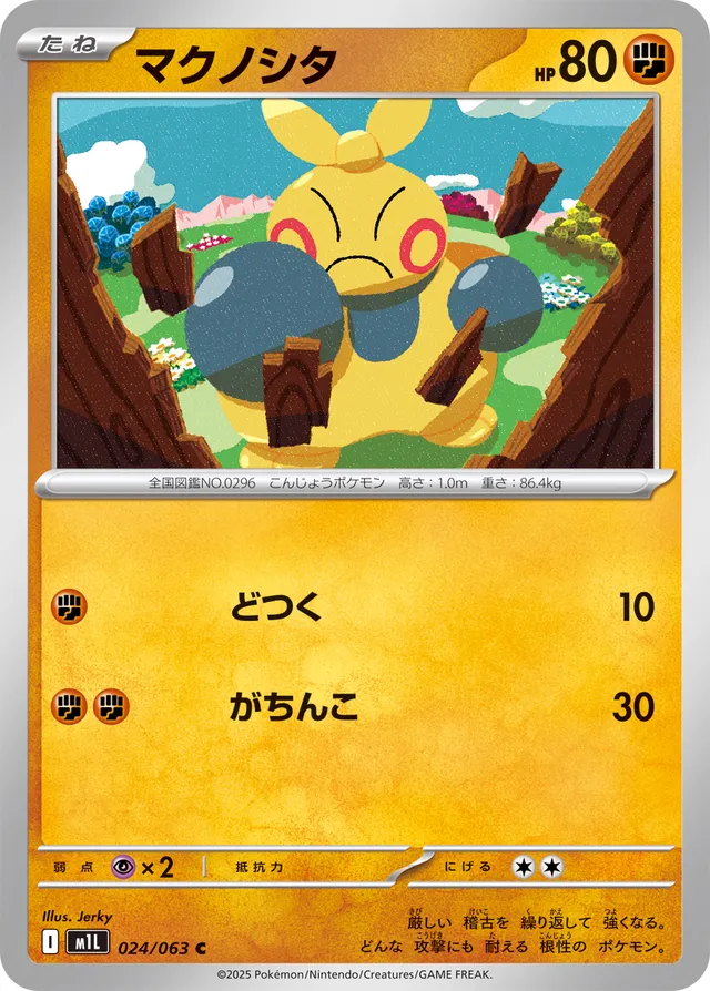 024/063 Makuhitaマクノシタ C