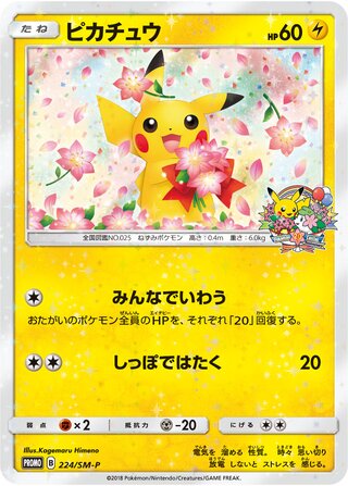 Pikachu (Sun & Moon Promos 224/SM-P)