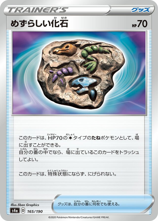165/190 Rare Fossilめずらしい化石 —