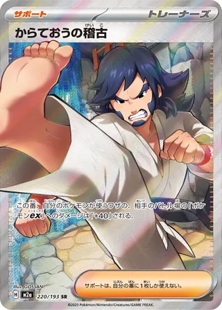 Black Belt's Training (MEGA Dream ex 220/193)