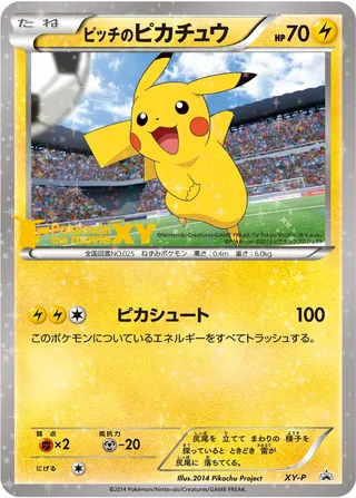 Pikachu (XY Promos No. 318)