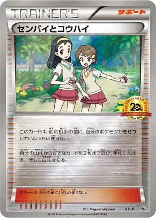 Teammates (XY Promos No. 455)