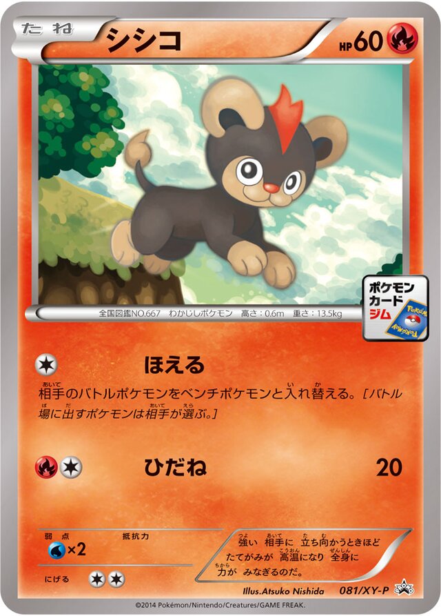 081/XY-P Litleoシシコ