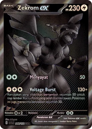 Zekrom ex (Black & White 348/172)