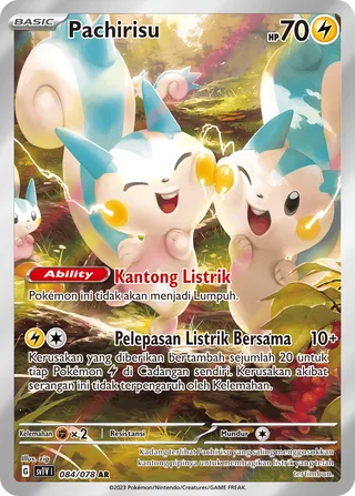 Pachirisu (Violet ex 084/078)