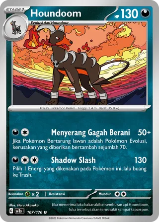 Houndoom (Black Shine 107/170)