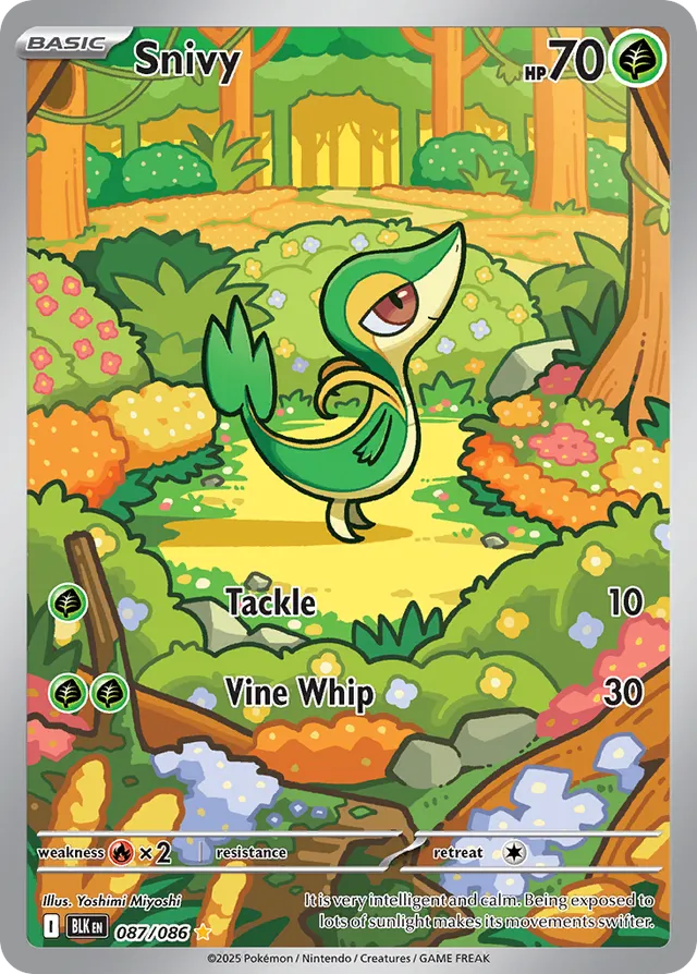087/086 Snivy BLK Illustration Rare