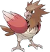 Spearow