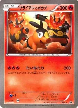 _'s Tepig (Black & White Promos No. 243)