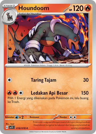 Houndoom (Violet ex 018/078)