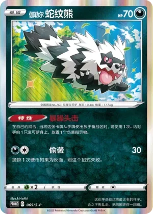 Galarian Zigzagoon (Sword & Shield Promos 065/S-P)