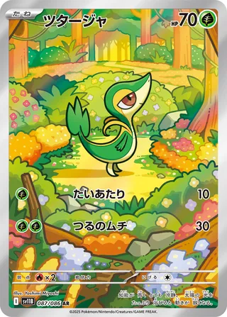 Search McLeader's Pokémon cards (Japanese TCG) – TCG Collector
